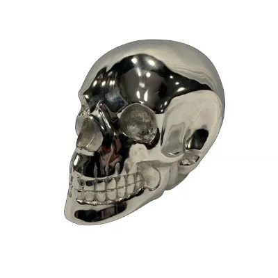Large Silver Skull