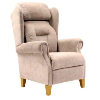 Fabric Armchair with High Back, Lumber Back and Headrest