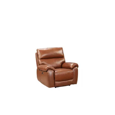 Modern Saddle Leather 1 Seater Electric Power Recliner